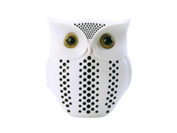 Mini reproductor de música portátil Bluetooth compatible con Bluetooth 5.0 de reproducción inalámbrica Owl Voice Nostalgia88