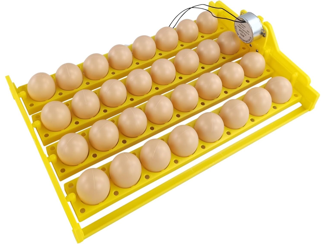Soporte Huevos Varios Niveles Estante Almacenar Huevos, Organizador Huevos, Dispensador Huevos Bandeja Huevos.