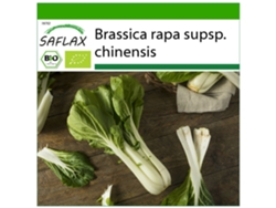SAFLAX Ecológico Col de mostaza china Pak Choi 300 semillas Con sustrato de cultivo libre de gérmenes Brassica rapa supsp. chinensis
