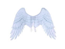 Alas de ángel 3D Anbaby, plumas estampadas, disfraz de cosplay, accesorios de fiesta, alas decorativas
