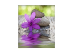 Estor Enrollable HAPPYSTOR Estampado Digital Zen HSCZ4502 140x250 cm