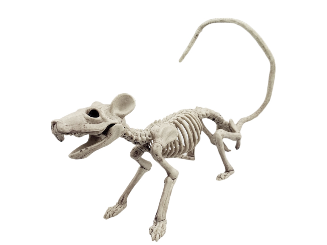 Ats-esqueleto De Animal Para Halloween Decoración De Fiesta Simulación De Horror Huesos Esquelético