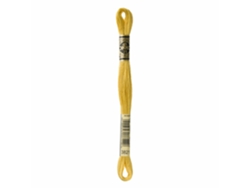 Hilo de Bordar DMC Mouline 117Mc Amarelo 3821