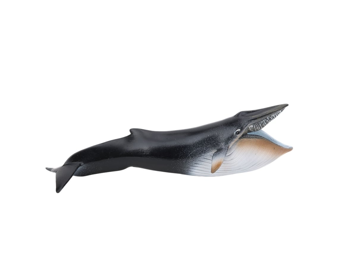2026-modelo De Animales Marinos Simulación, Decoración De Escritorio, Juguete Educativo Para Niños Pl127‑1341
