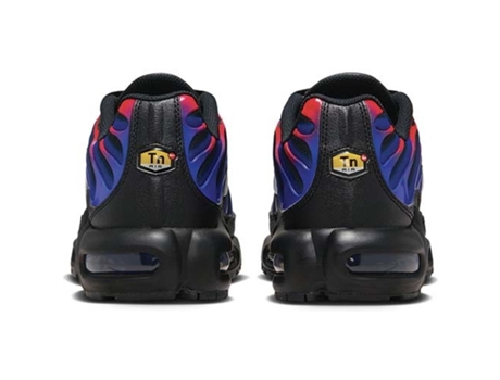 Zapatillas de Hombre NIKE Air Max Plus Multicolor (45)