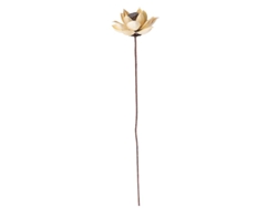 Artesanía de adorno de flores secas para uso decorativo ALLINLESS