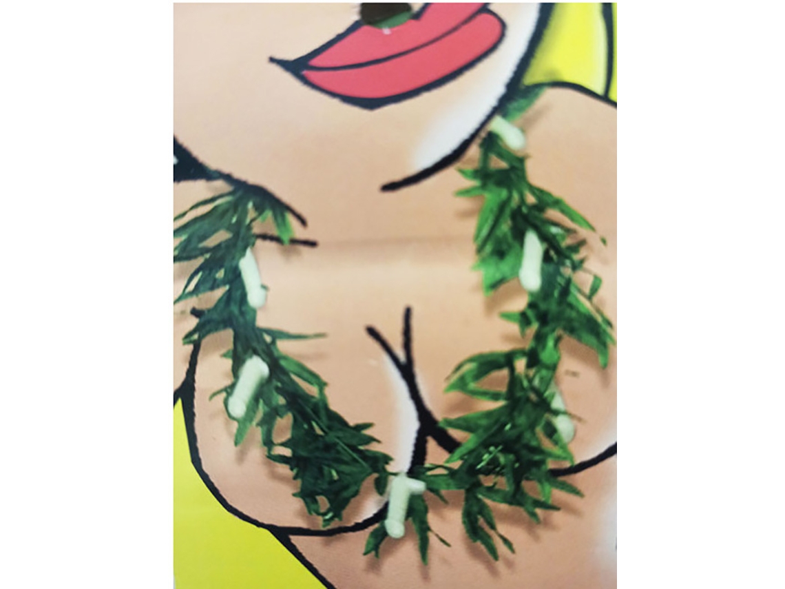 Collar con pene