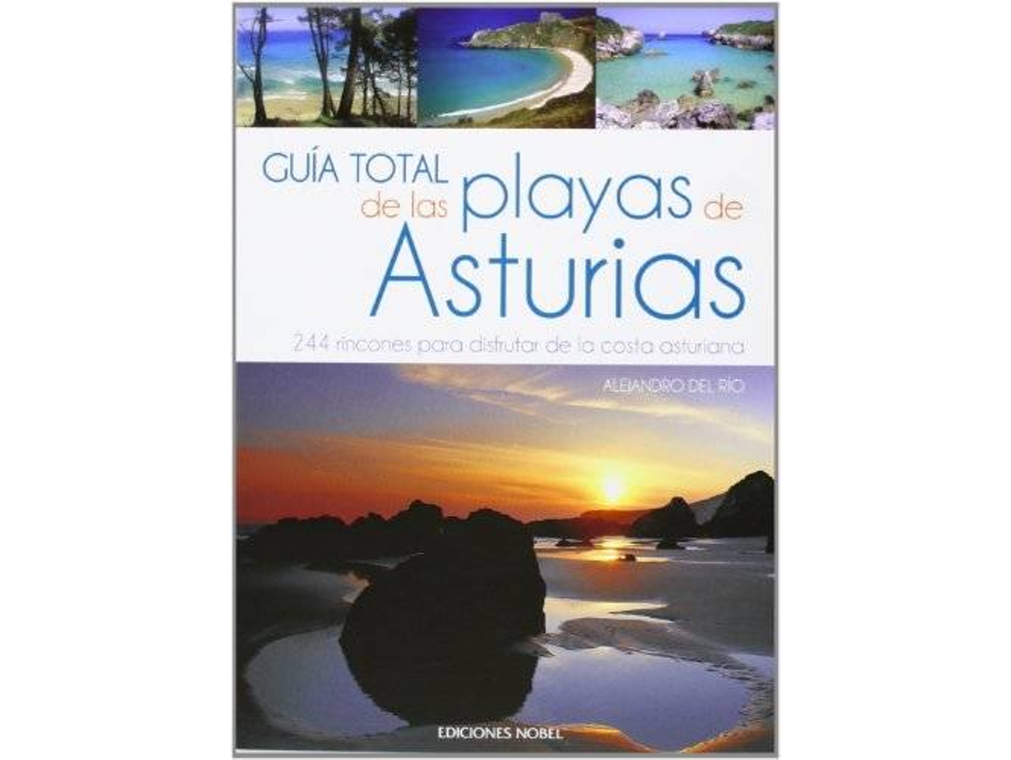 Libro Guía Total De Las Playas De Asturias de Alejandro del Rio Fernández (Español)