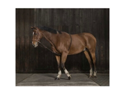 Extensor Suave Castanho Fullnorton Equestrian