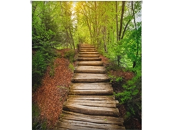 Estor Enrollable HAPPYSTOR Estampado Digital Paisajes HSCP6224 145x250 cm