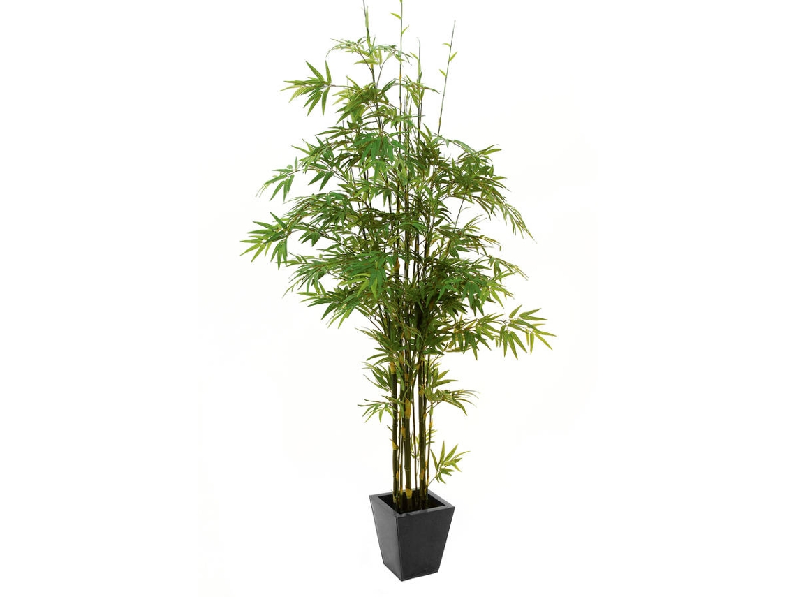 Planta Artificial EUROPALMS Bamboo Black Trunk (Verde - 240 cm)