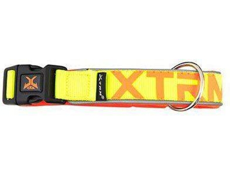 Collar para Perros NAYECO X-Trm Neon Flash Amarillo (S)