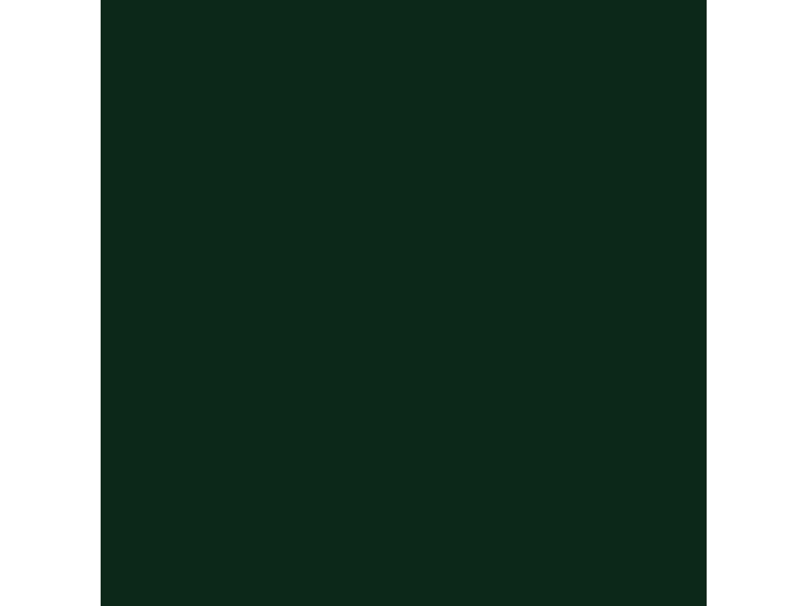 ESMALTE NAVAL E INDUSTRIAL PROARAPID BRILLANTE Esmalte de secado rápido y gran dureza PROA Verde inglés RAL 6009 10L