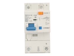 Disyuntor de protección contra corriente de fuga DZ47LE 125 1P+N 230V 125A
