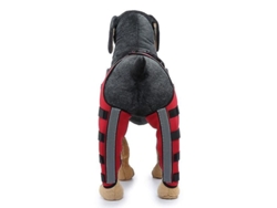 Rodillera de doble protección para perros para dislocación del ligamento cruzado anterior (LCA) y artritis, soporte adicional Zgx M Rojo2