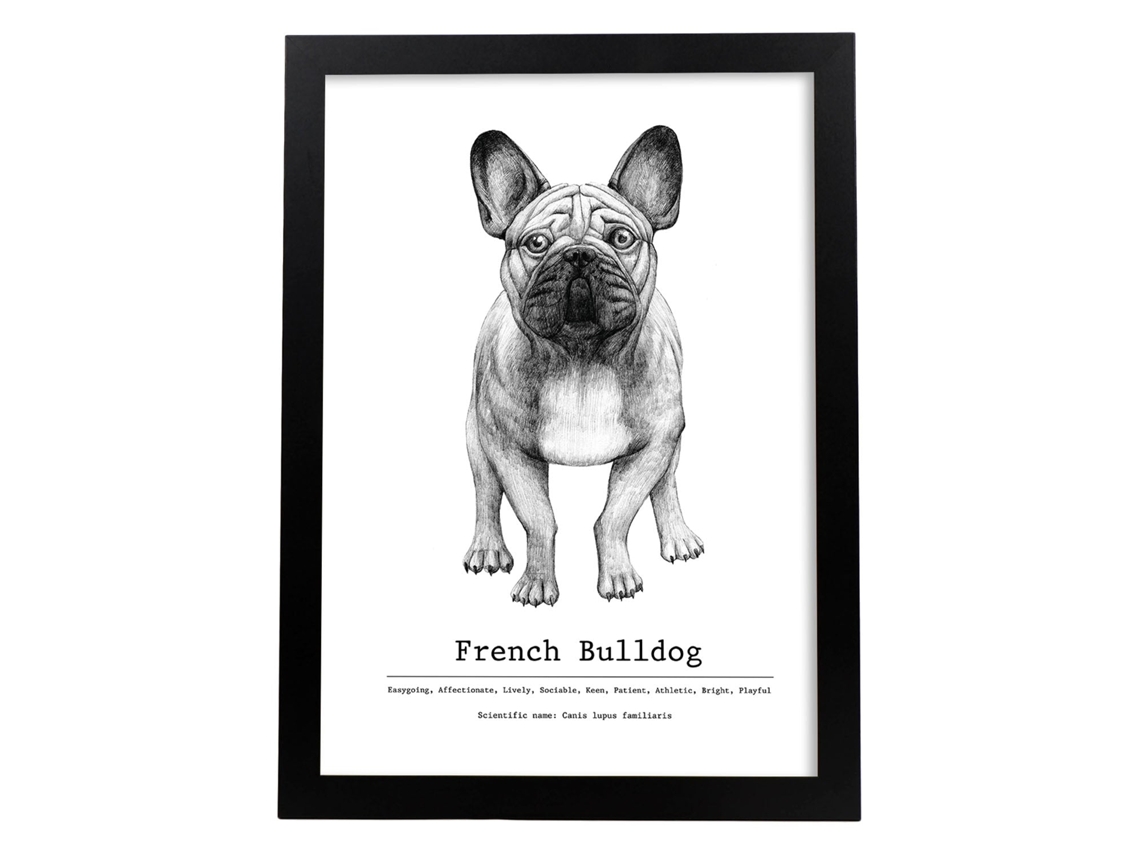 Póster NACNIC de Bulldog con Texto. Decorativa de Perros.