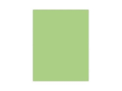 Cartolina Liderpapel 50X65 Cm 180G/M2 Verde Erva Pack de 25 Unidades