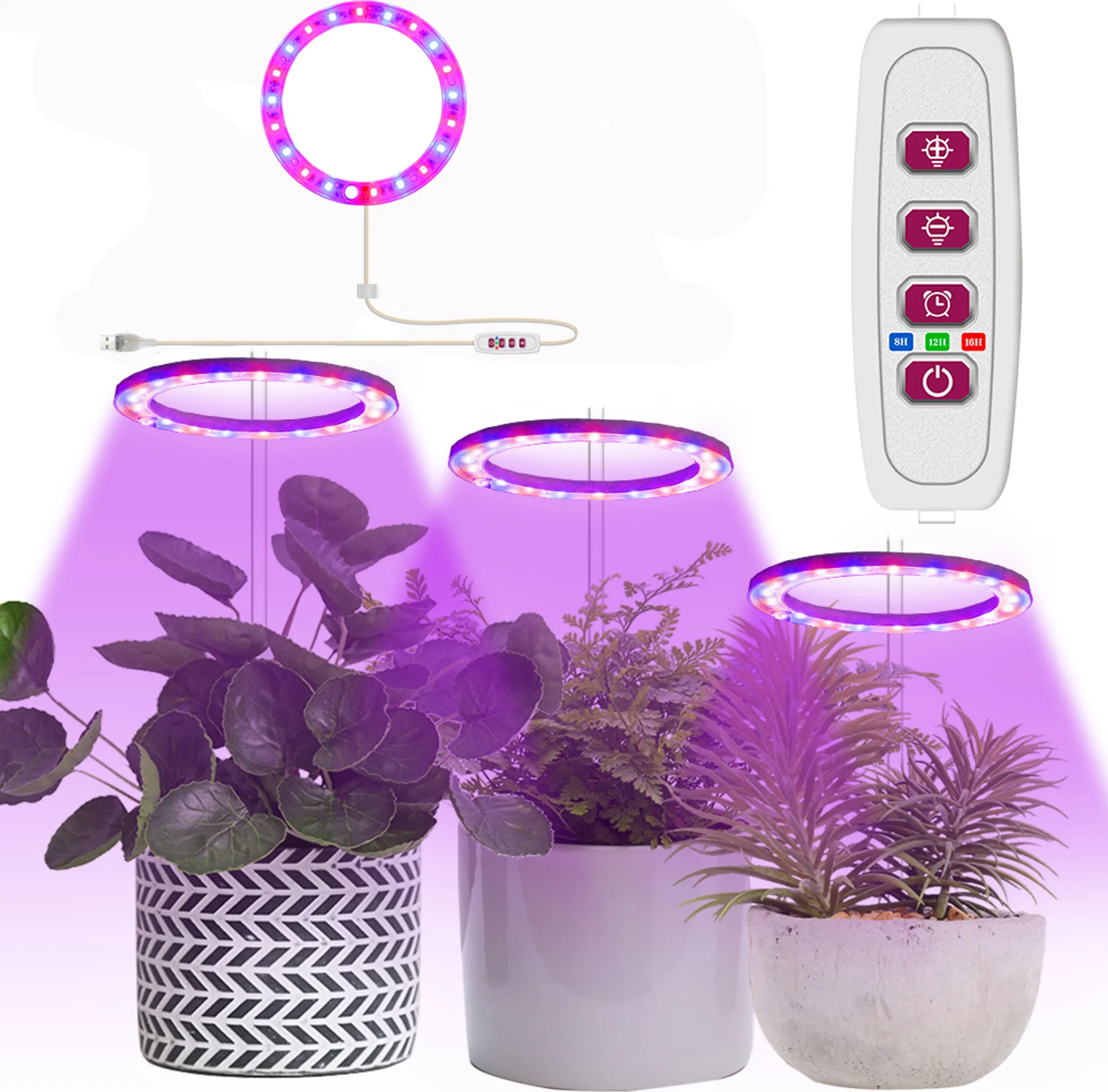 Disco Led Rojo Y Azul - Cabeza Única