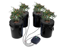 Sistema de cultivo hidropónico Dwc con 4 cubos de 20L y bomba de aire Tekmaquinas