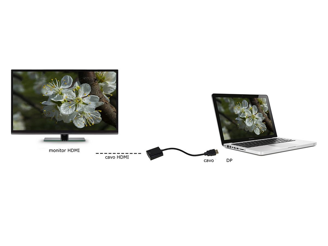 Link Accessori Lkadat20 Adaptador de cable de video 0.15M Displayport HDMI Negro