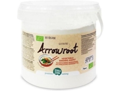 Suplemento Alimentar TERRASANA Arruruz (800 Gr)