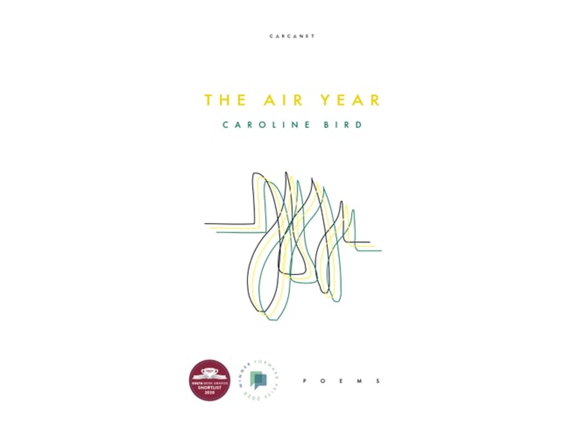 Libro THE AIR YEAR de Caroline Bird  (Inglés)