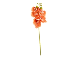 Flores de orquídea, plantas de tallo, flores artificiales slowmoose