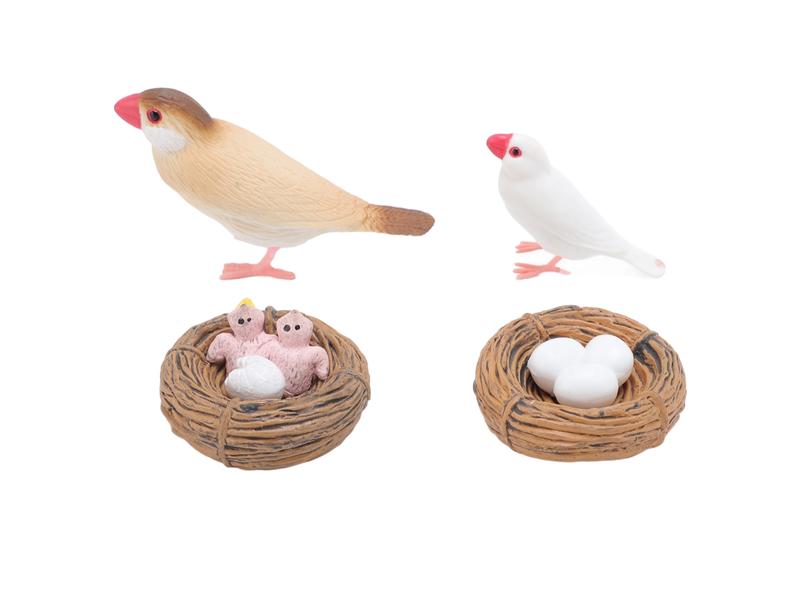 Figuras del ciclo de vida del pájaro Pinzón (2026), 4 piezas, para niños, juguetes educativos realistas de PVC, ciclo de crecimiento animal.