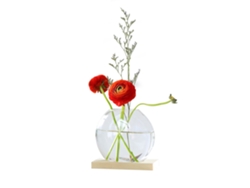 Maceta de vidrio para cultivo hidropónico, madera, estilo nórdico, creativa.