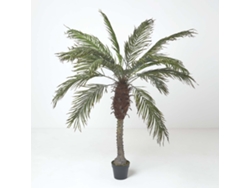 Palmera Phoenix de Homescapes en maceta, 160 cm de altura