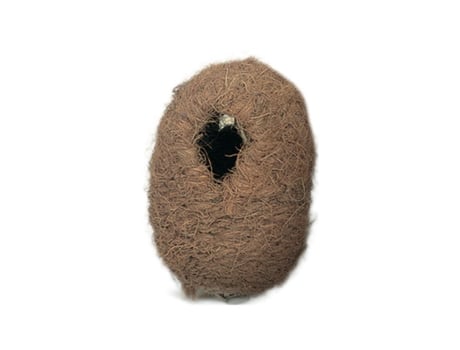 Nido de pájaros exóticos ovalado de coco Pequeño