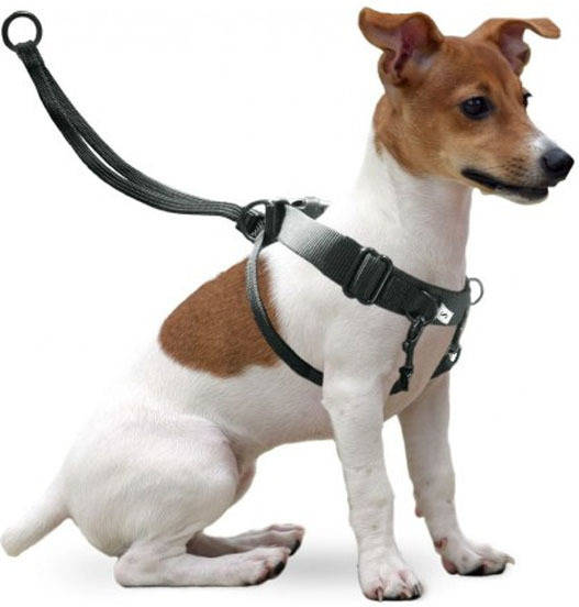 Arnes De Entrenamiento easy walker adiestramiento para perros talla global negro 3139cm porte medio