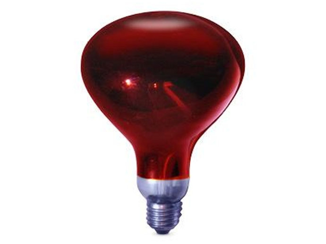 Lámpara de infrarrojos GSC 250 W
