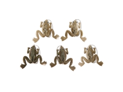 Danu26-señuelo De Rana Suave Artificial Lifelike 3g Con Anzuelo Para Pesca 5pcs Marrón