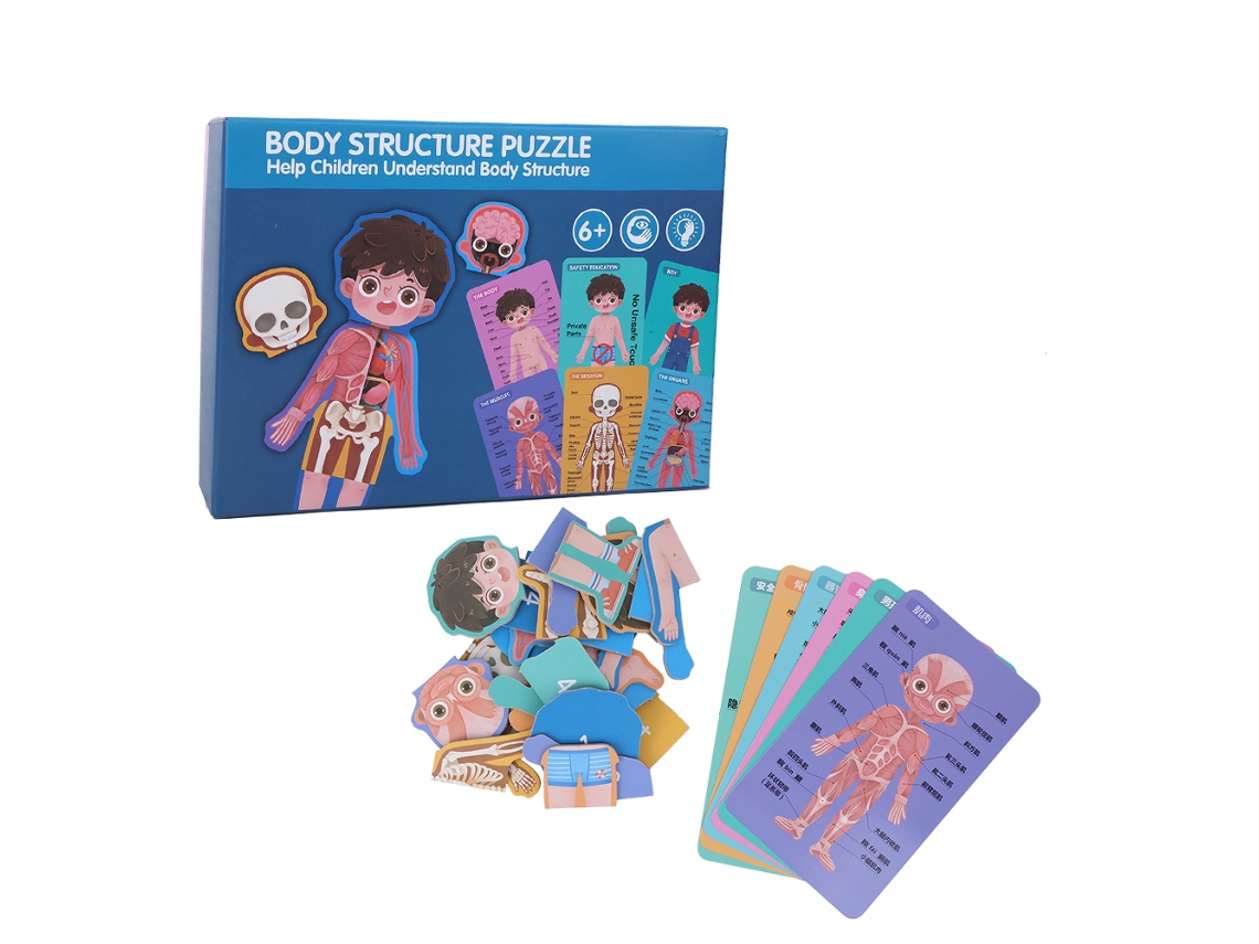 Rompecabezas De Madera Con La Estructura Del Cuerpo Humano Para Niños - Juguete Educativo