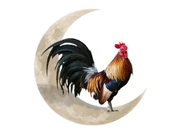 Decoración de pared de metal con gallo y luna