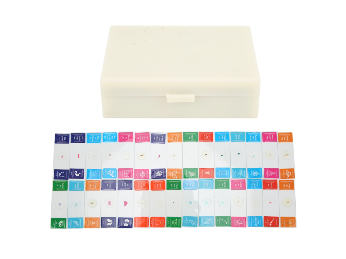 30 Portaobjetos Preparados Para Microscopio Con Kit De Laboratorio Transparente Para Biología.