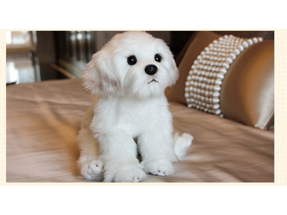Peluche perro bichon maltes deals