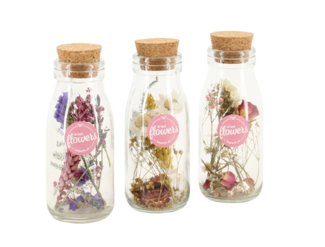 Flores secas - PLANT IN A BOX - Dryflowers - Set de 3 - Maceta cm - Altura 10cm