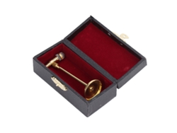 2026-micrófono Miniatura Ajustable Modelo Con Caja De Almacenamiento Decorativa Oro Instrumento Musical Mini Accesorio Casa Muñecas