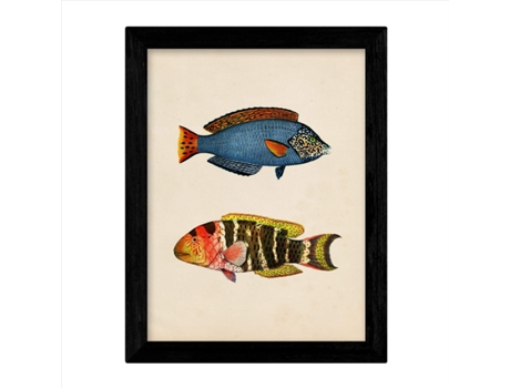 Set De 4 Láminas De Peces Coloridos Efecto Vintage. Composicion De 8 Peces Diferentes, Fondo Papel Antiguo Vintage Sin Marco