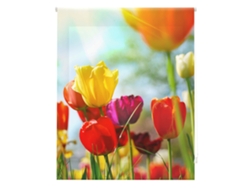 Estor Enrollable HAPPYSTOR Estampado Digital Paisajes HSP93004 200x250 cm