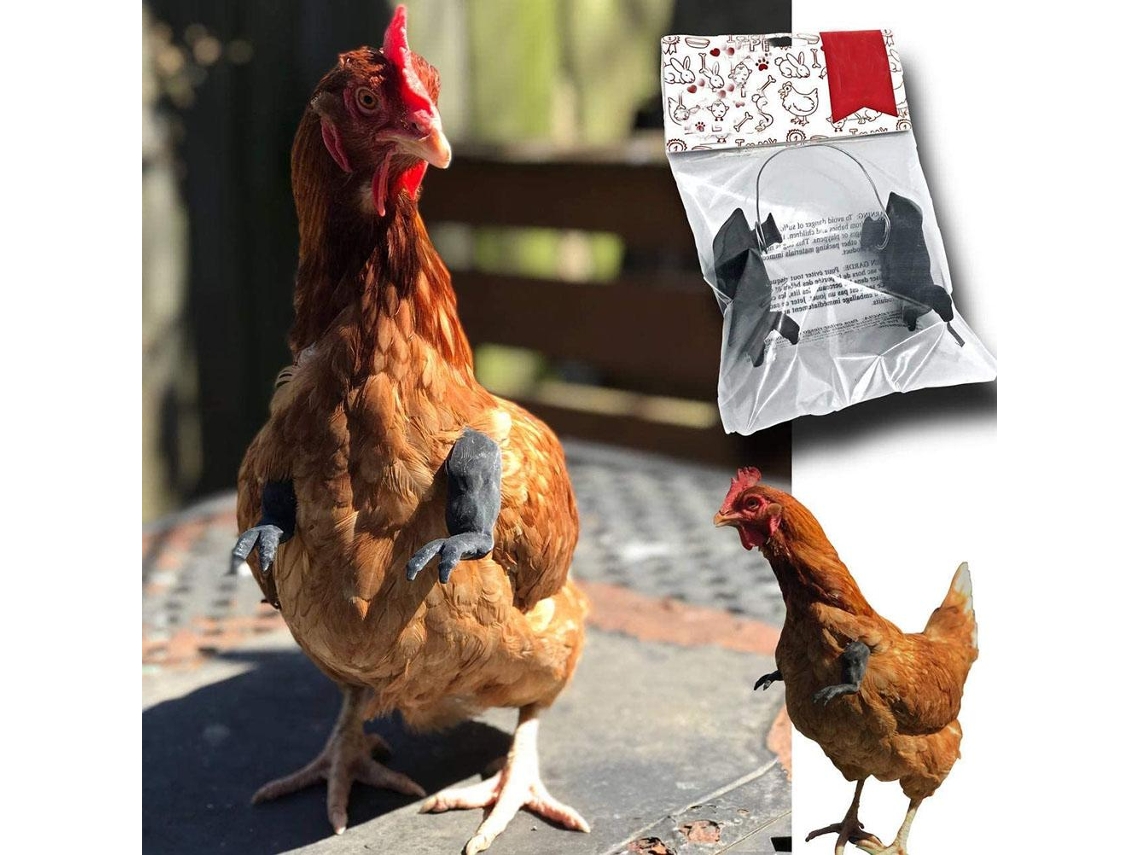 Juguete de pollo con brazo, juguete interactivo para mascotas, divertido juguete de pollo