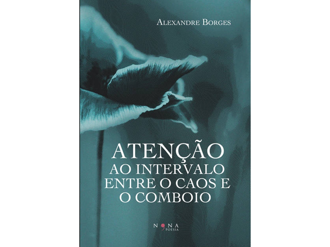 Libro Atenção ao Intervalo entre o Caos e o Comboio (Portugués)