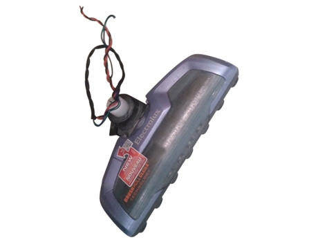 Cepillo Electrico 2198205573 ELECTROLUX