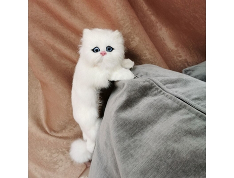Simulación de Piel Realista Felpa Gato Muñeca Modelo Animal Blanco A La Izquierda