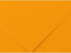 Cartulina CANSON Naranja (50 x 65 cm - 25 Unidads - 250 g/m²)