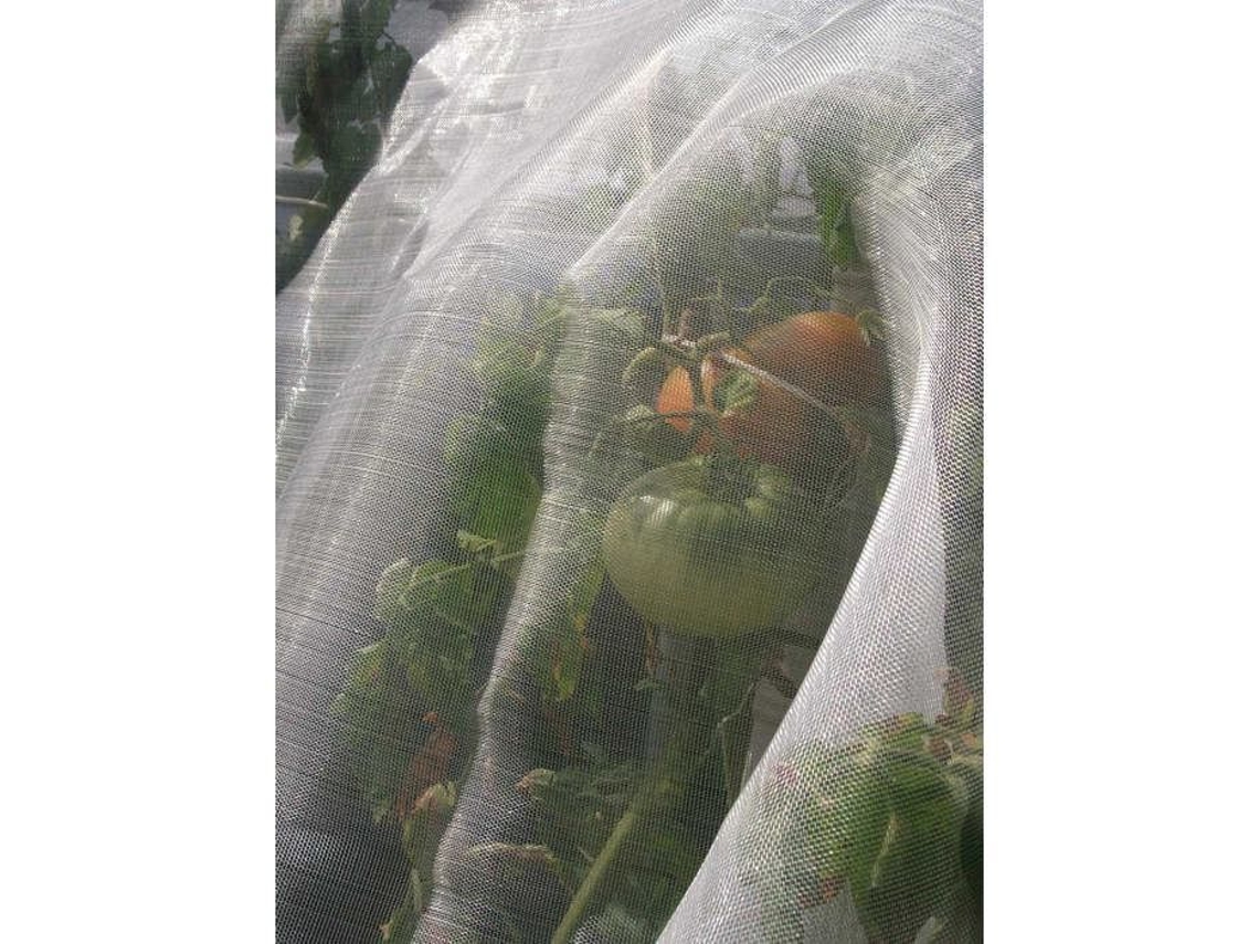 Malla neutra para insectos Tenax Microfender de 2x5 m, cubierta protectora para plantas de jardín