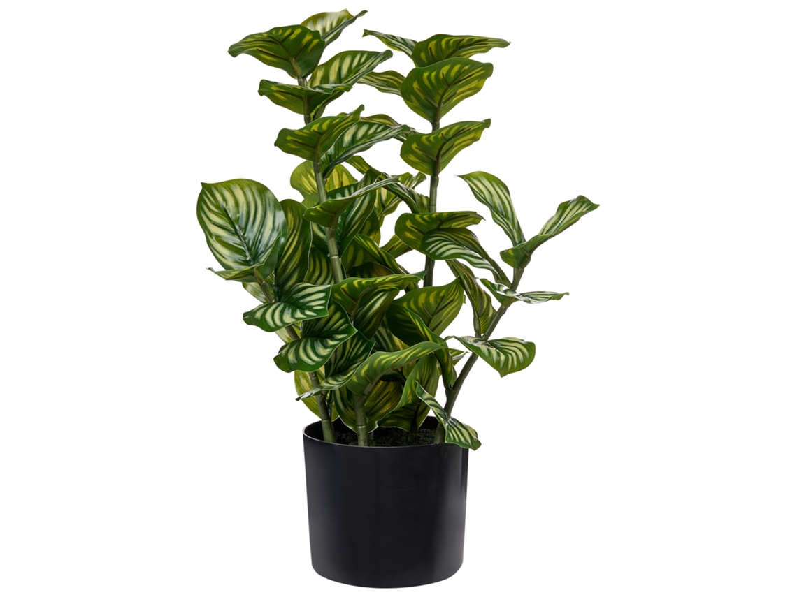 Planta Artificial Beliani Orbifolia De Material Sintético Verde 28x28x50