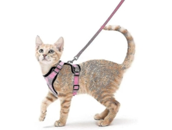 2026-arnés Y Correa Para Gatos, Arnés De Chaleco Ajustable Anti Escape, Transpirable Y Suave Para Paseos